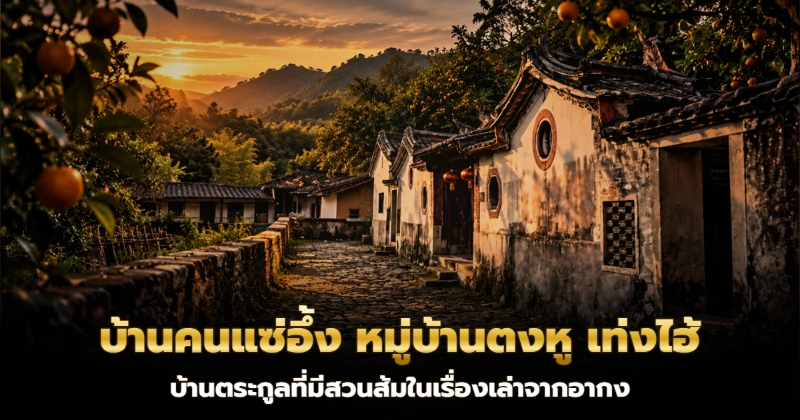 สวนส้มหลังบ้านแบบหมู่บ้านจีนแต้จิ๋วโบราณ